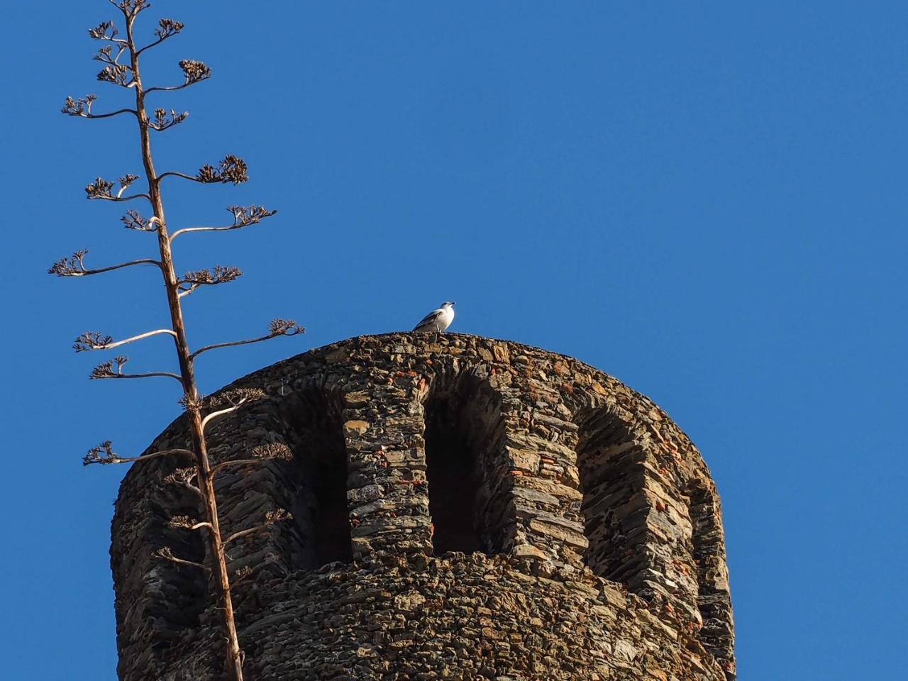 Muin A Ventu Historical Tower Apartment Vernazza Exterior photo