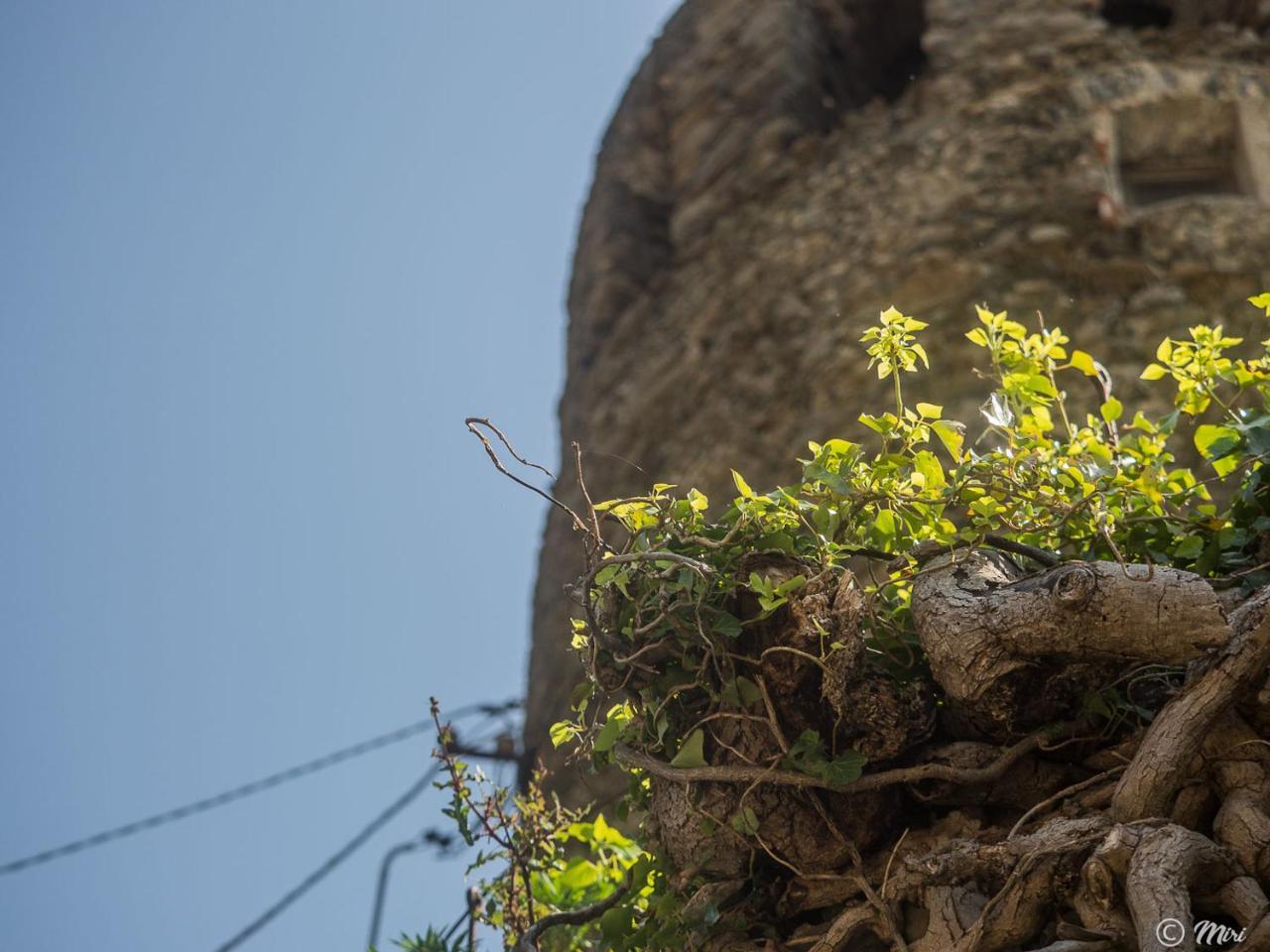 Muin A Ventu Historical Tower Apartment Vernazza Exterior photo